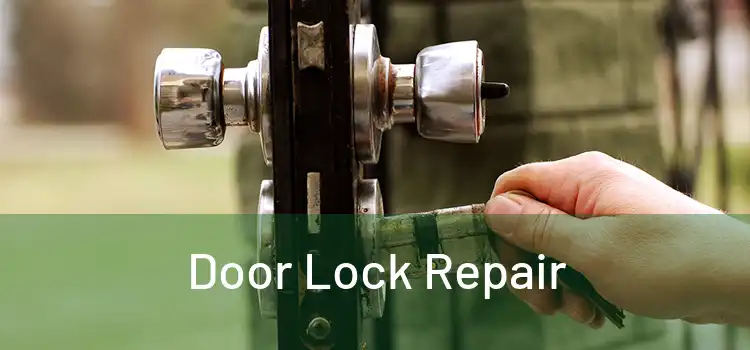 Door Lock Repair