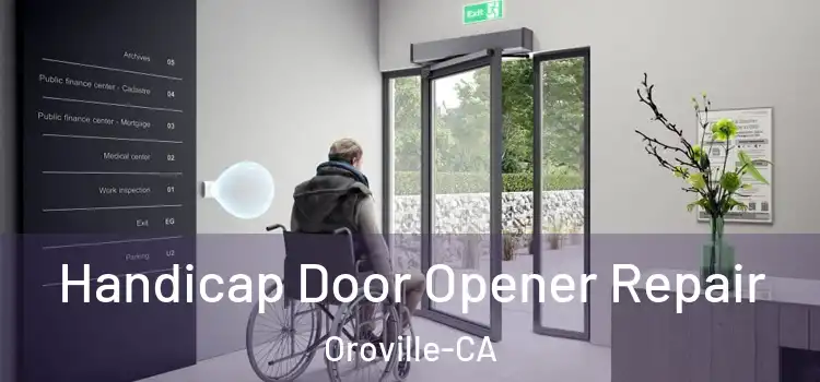  Handicap Door Opener Repair Oroville-CA